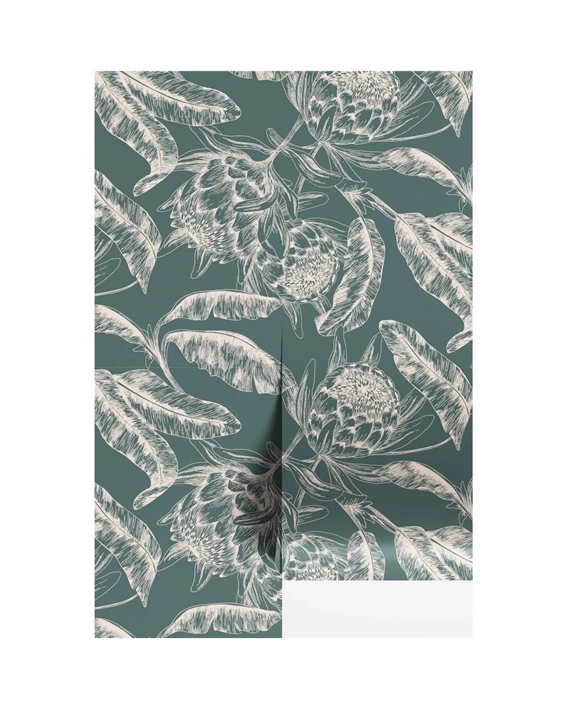 Protea Saphir Protea Saphir