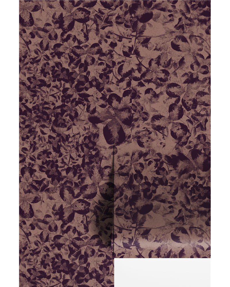 Bonheur Prune