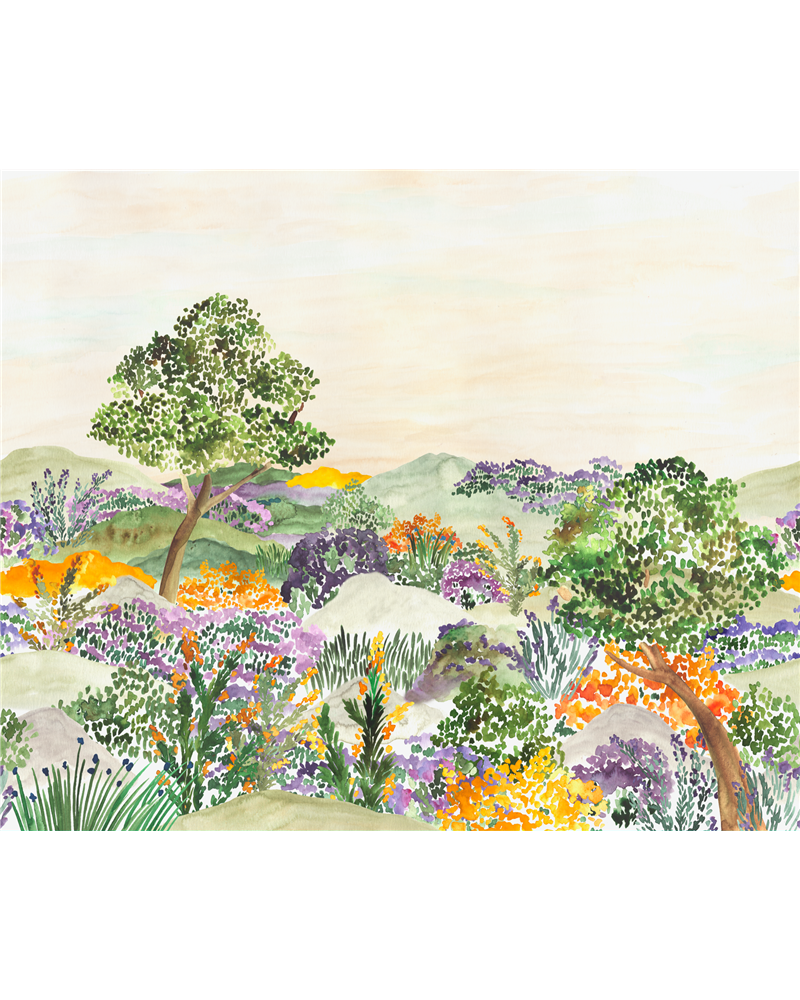 Garrigue Genet