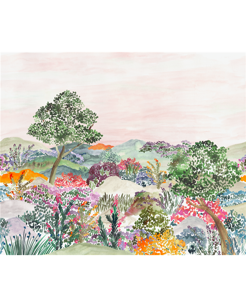Garrigue Lavande