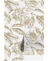 Protea Ambre