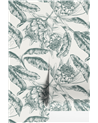 Protea Creme