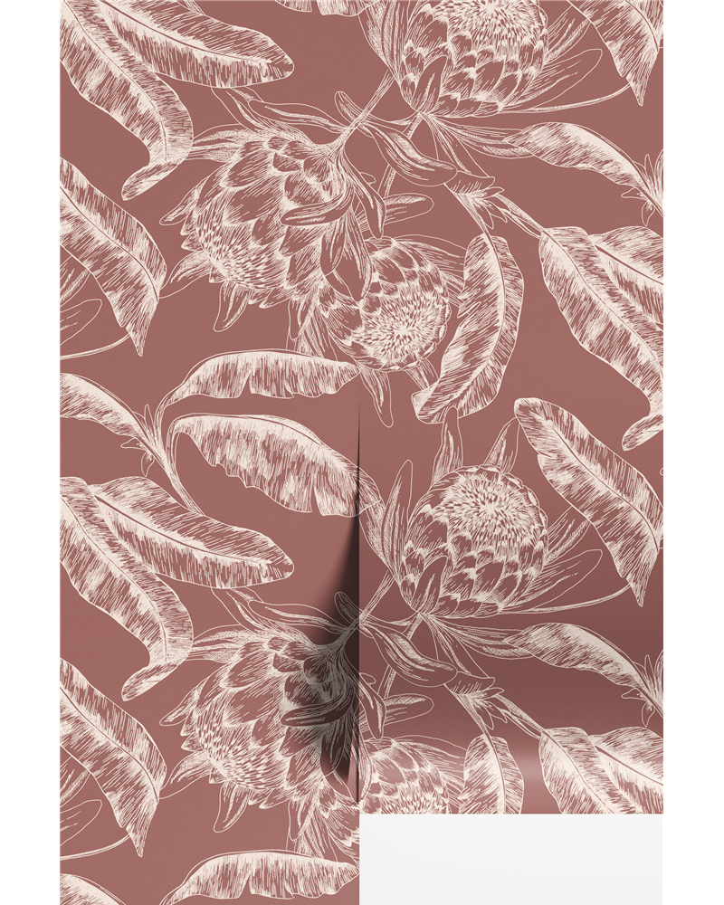 Protea Terre