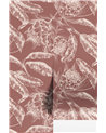 Protea Terre