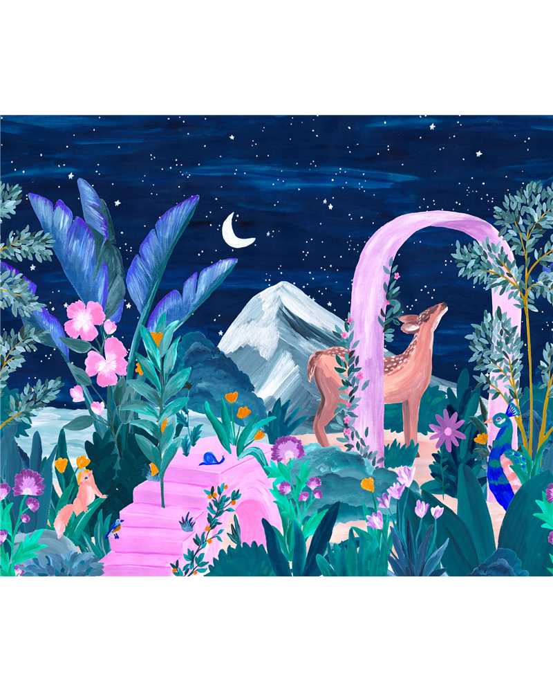 Wonderland Nuit Etoilee