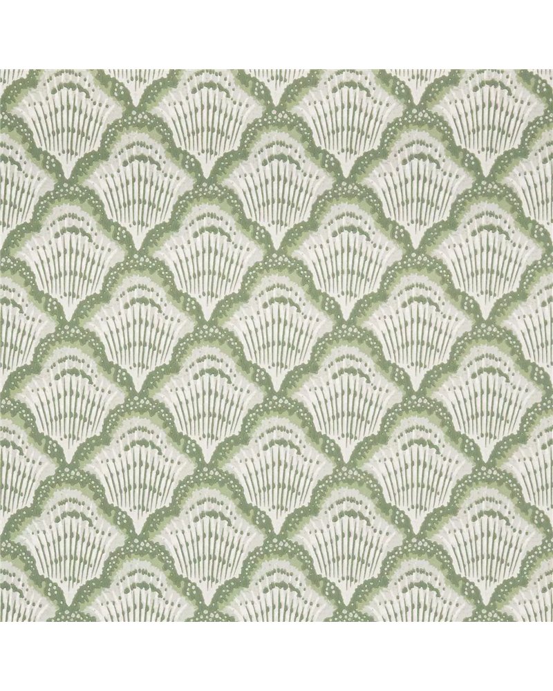Calico Shell Verde Green 2412-179-02 Calico Shell Verde Green 2412-179-02