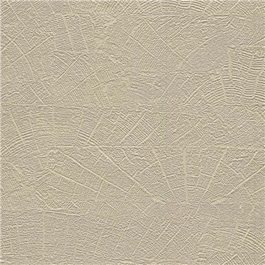 Organic - 6461565