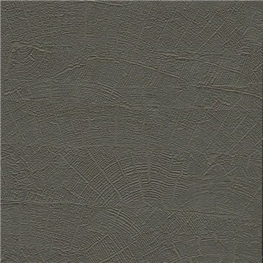 Organic - 6461567