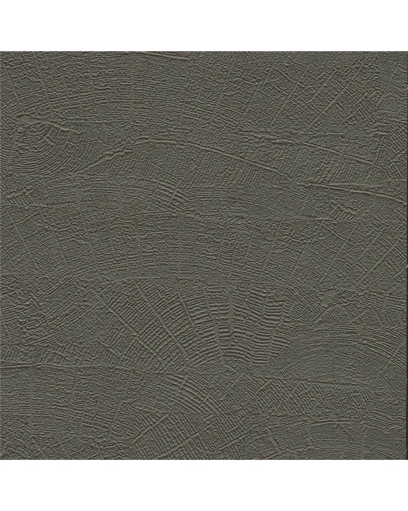 Organic - 6461567