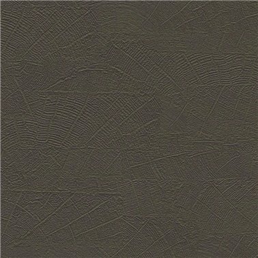 Organic - 6461571