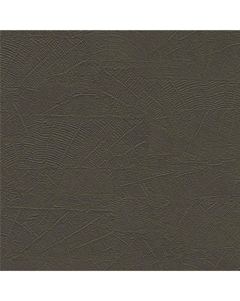 Organic - 6461571
