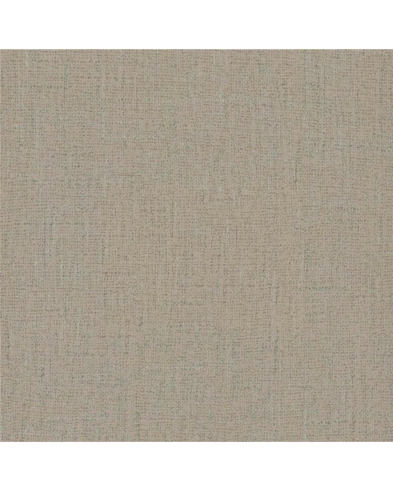 Veil - 6462262