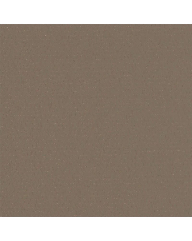 Cocoon Esquire - 6451481