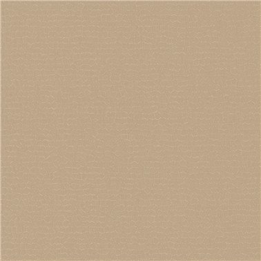 Cocoon Glimmer - 6451473