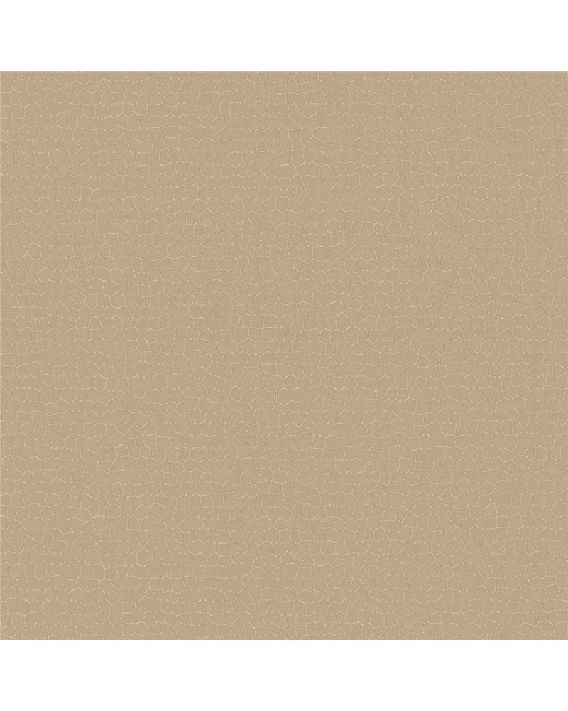 Cocoon Glimmer - 6451473