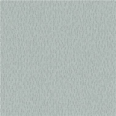 Iguana Acqueus - 6454847