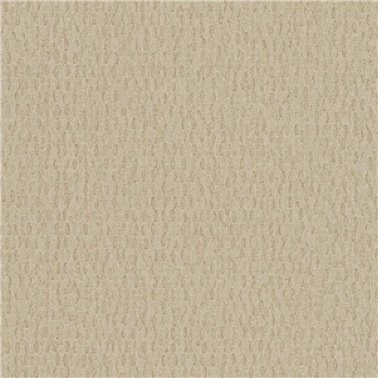 Iguana Sand - 6454839
