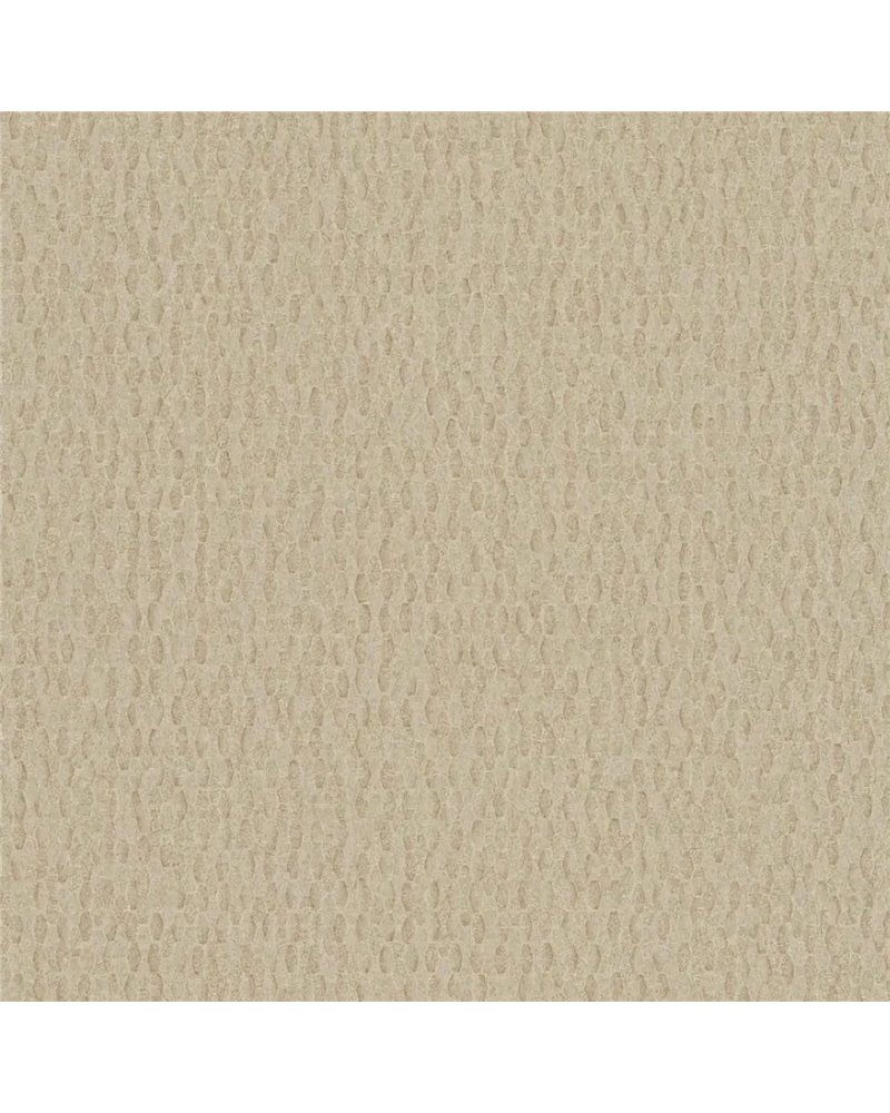 Iguana Sand - 6454839