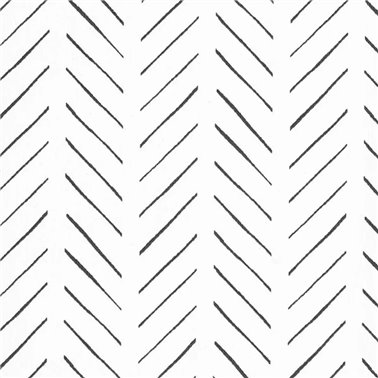 Path Charcoal - 6451138