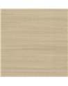 Stucco Beige - 6454797