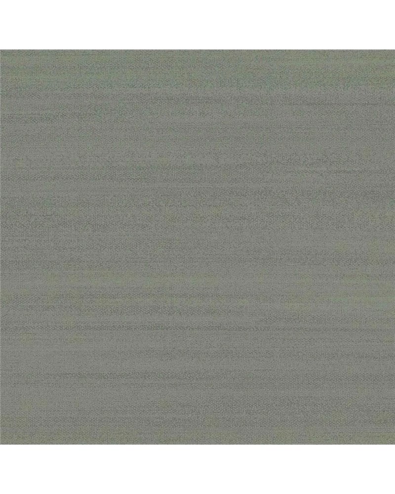 Stucco Evergreen - 6454803 Stucco Evergreen - 6454803