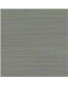 Stucco Evergreen - 6454803