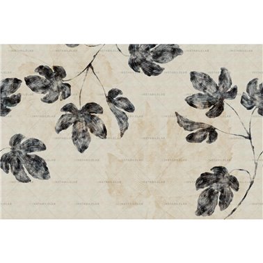 Basilia 01