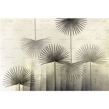 Clotilda 01