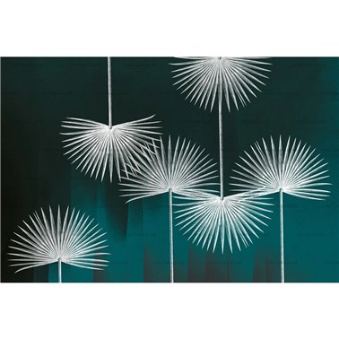 Clotilda 02