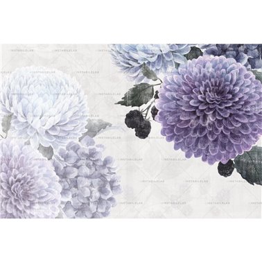 Colette 01