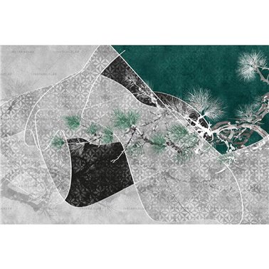 Matisse 02