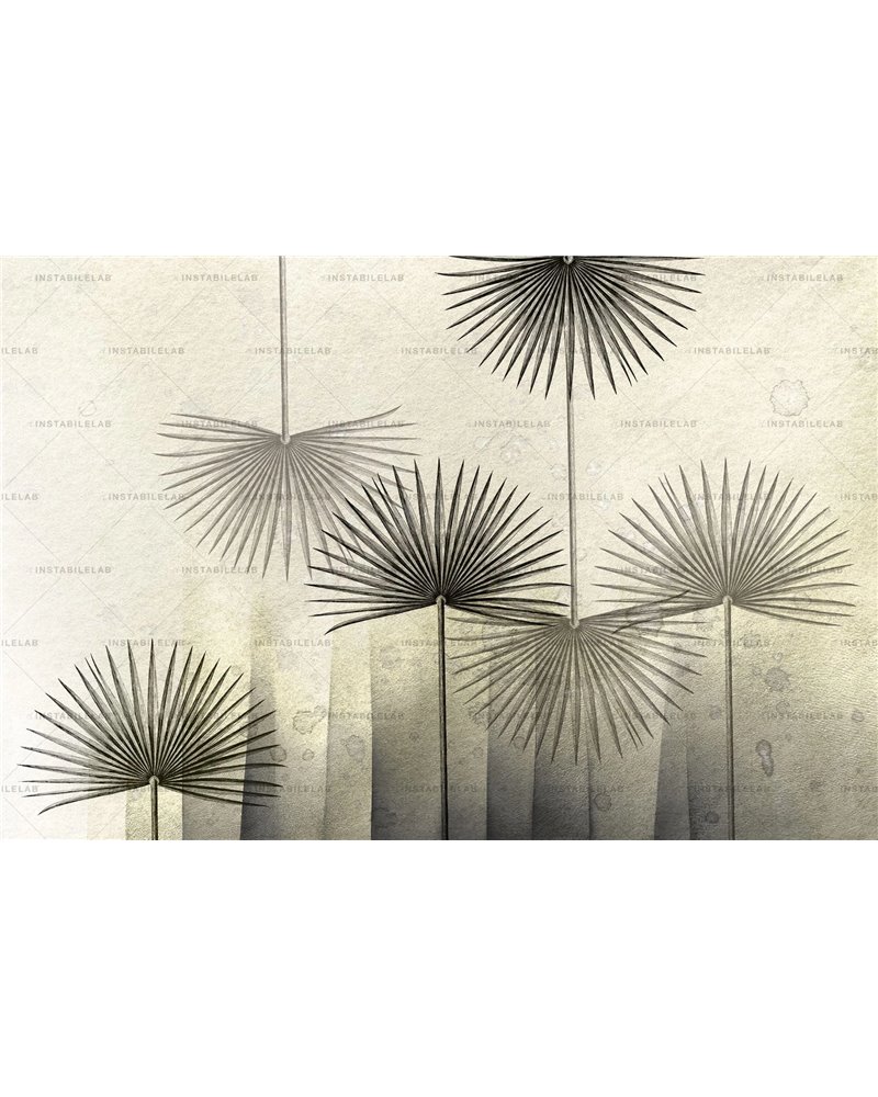 Clotilda 01