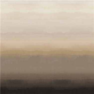 Hinode Cloud B00955