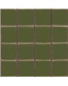 Itajime Moss B00935