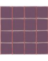 Itajime Prune B00934