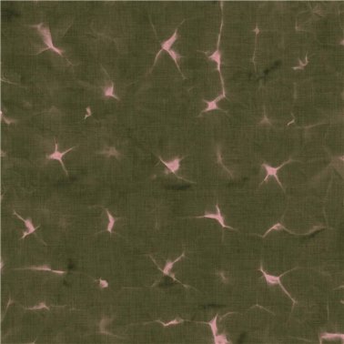 Kanoko Moss B00908