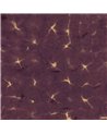 Kanoko Prune B00906