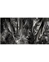Forest of Silk MU14051
