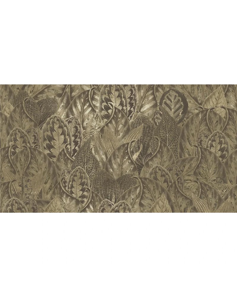 Vibrant wonderland MU15019 Vibrant wonderland MU15019