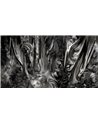 Forest of Silk MU14051