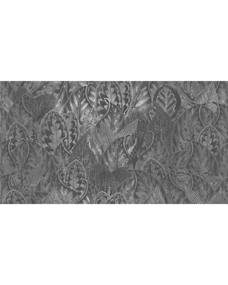 Vibrant wonderland MU15020