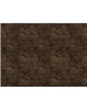 Lignite Gold B00842