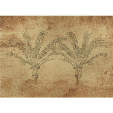 Palma Gold B00836