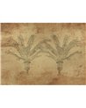 Palma Gold B00836