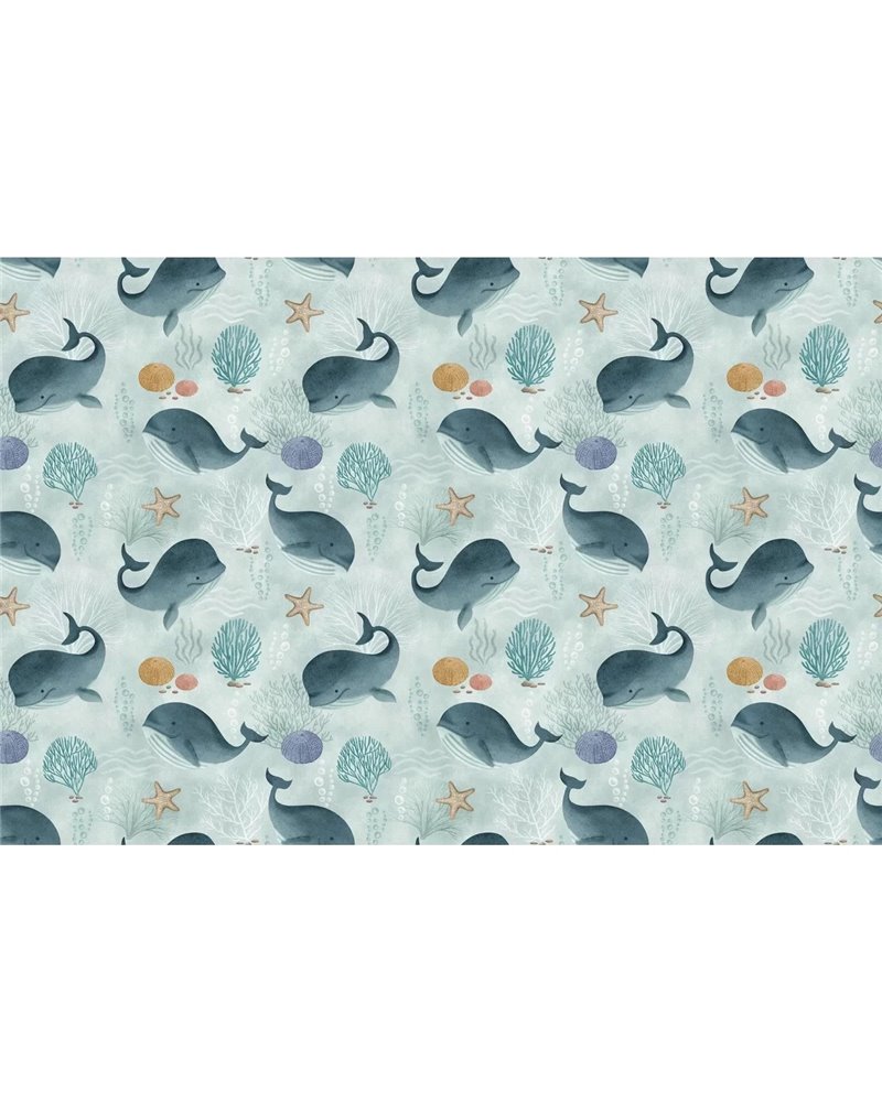 Baby Whales CB006-1 Baby Whales CB006-1