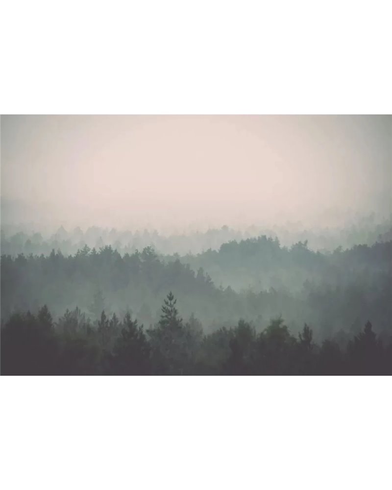 Foresta nera CB039-1 Foresta nera CB039-1