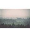 Foresta nera CB039-1