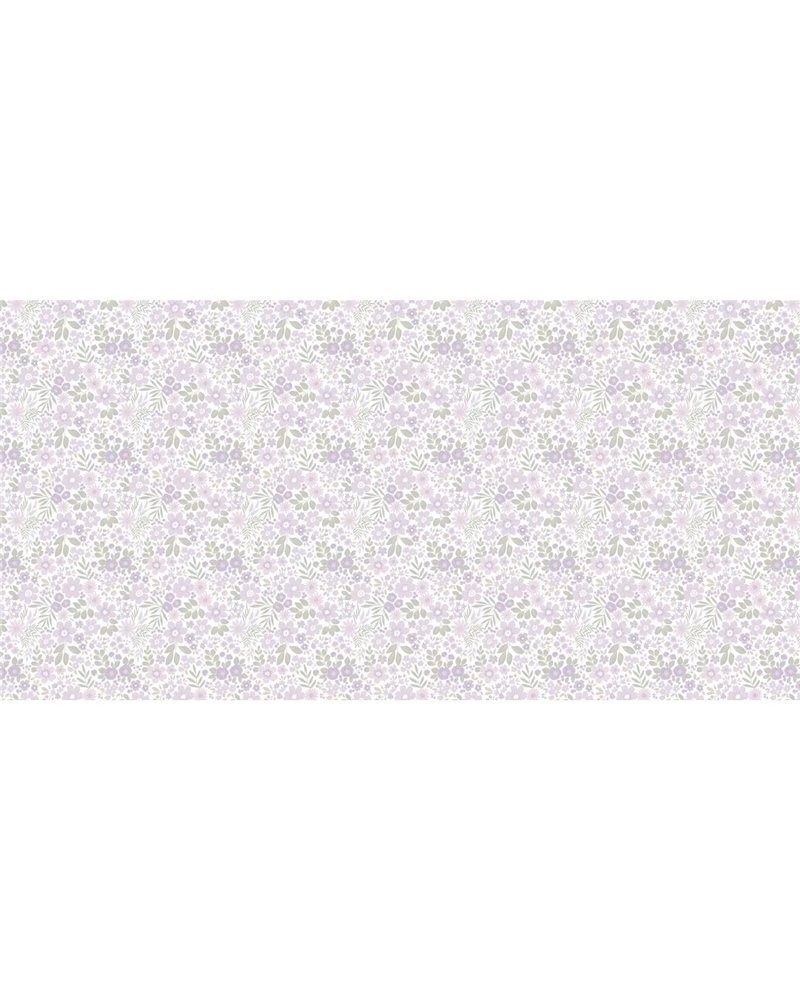 Lilly CB245-1 Lilly CB245-1