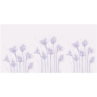 Petunia CB160-1