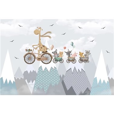 Pomeriggio in bici CB117-1